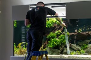 Aquarium Maintenance Jobs