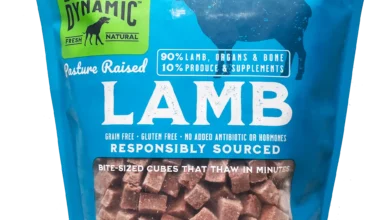 Organic Lamb Dog Food
